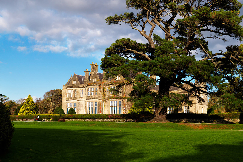 Killarney Day Tour